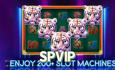 Instalador SPVIP Windows